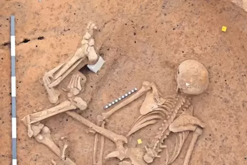 Einer der spektakulärsten Funde am Eisenberger Vicus: das Skelett eines spätantiken Mannes (2016).