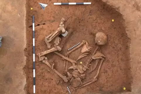Das 2016 in Eisenberg gefundene Skelett. ArchivFoto: Landesarchäologie/Frei 