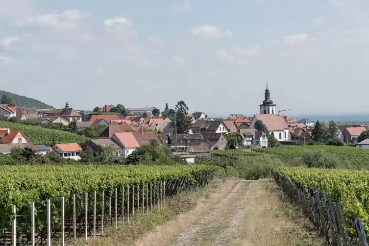 weyher1.JPG