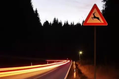 Als ein Wildschwein am Langenberg in einer Kurve die K 15 überquerte, versuchte eine Autofahrerin auszuweichen. Das Auto kam von