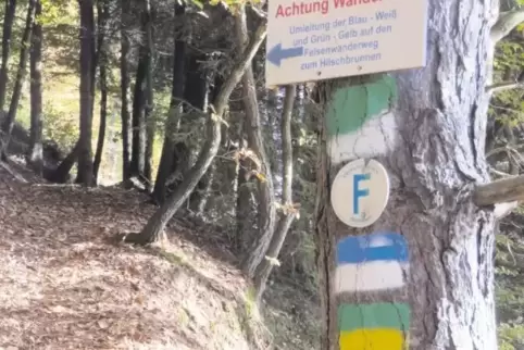 Schildervielfalt beim Aufgang zum Rodalber Felsenwanderweg oberhalb der Fichtenstraße: Auf den Hauptwanderwegen im Verbandsgebie