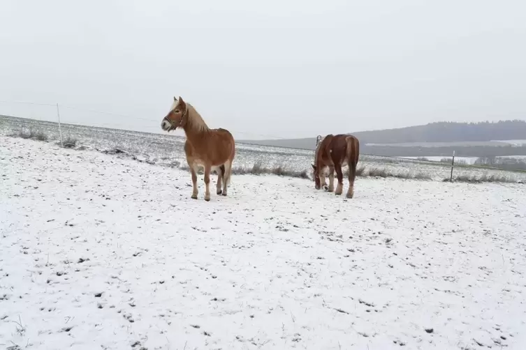 Schnee_Tanja_Schlaefer.jpg