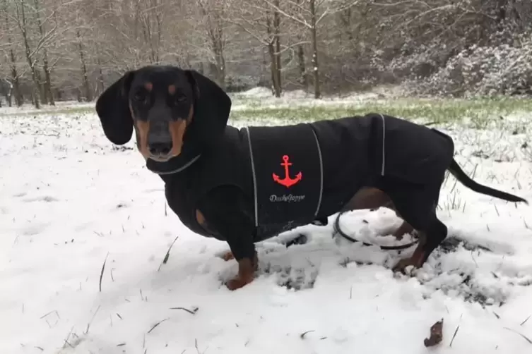 Schnee_Juliane_Postel.jpg