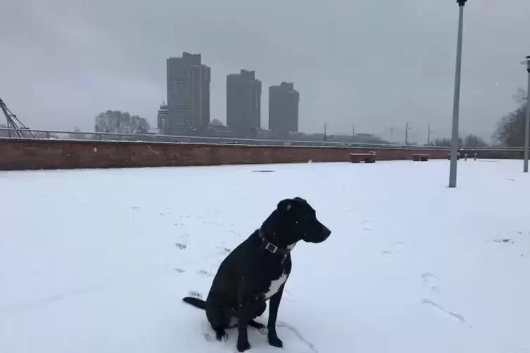 Schnee_Stefan_Heimerl.jpg