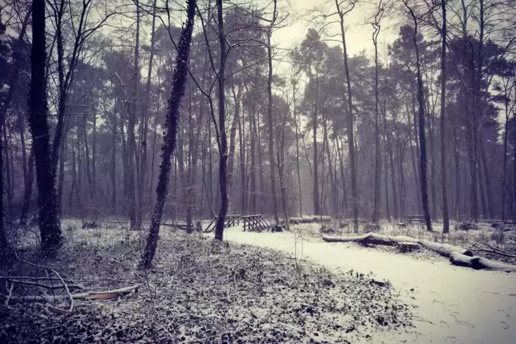 Schnee_Nicole_Atzinger.jpg