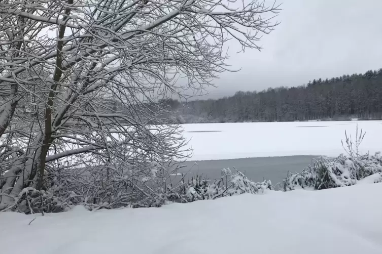 Schnee_Georg2.jpg