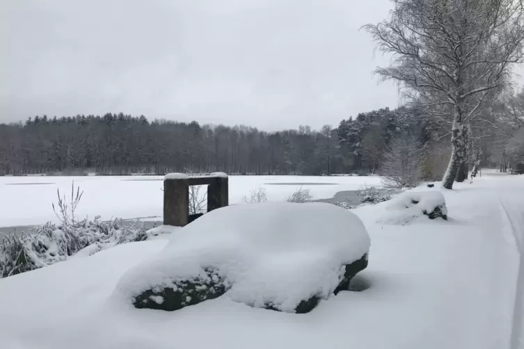 Schnee_Georg3.jpg