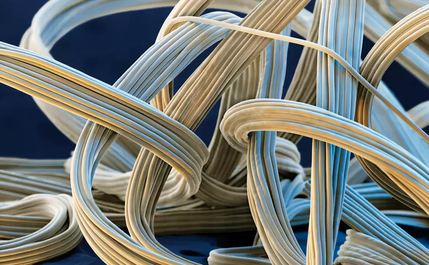 BASF_Elastan_Faser_mit_PolyTHF.jpg