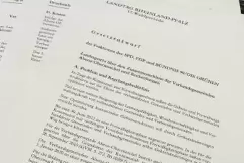 Mit den Stimmen von SPD, FDP und Grünen hat der Landtag für das Landesgesetz über den Zusammenschluss der Verbandsgemeinden Alse