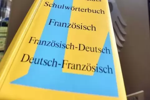 Die SPD-Fraktion fordert, Französisch zur ersten Fremdsprache für Schüler in Rheinland-Pfalz zu machen. Foto: dpa 