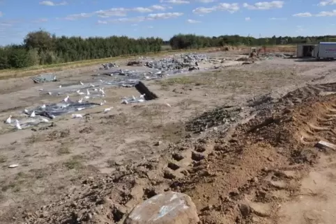 Mit dem Bagger untersuchten Archäologen ein etwa drei Quadratkilometer großes Gelände Am Römig – und stießen auf etliche Fundstü