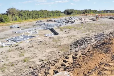 Mit dem Bagger untersuchten die Archäologen ein etwa drei Quadratkilometer großes Gelände Am Römig stichprobenartig.