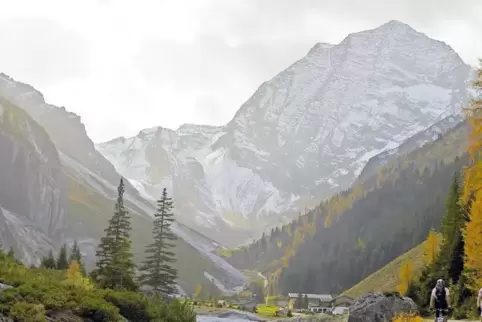 Die Pinnisalm im Stubaital liegt knapp 1600 Meter hoch. Sie ist touristisch vergleichsweise gut erschlossen. In der Nähe der Hüt