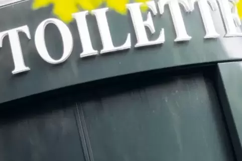 Mit Münzeinwurf oder ohne? Mit Hochdruck-Fußbodenreingung oder ohne? Ein perfektes Toilettenhäuschen wirft eine ganze Menge Frag