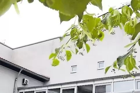 Das Interesse am Bürgermeisteramt in der Verbandsgemeinde Waldsee ist geweckt.