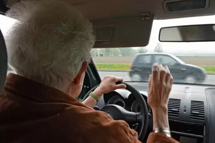 Eine 83-jährige Autofahrerin hat in Landau gleich zwei Unfälle verursacht. Symbolfoto: dpa 
