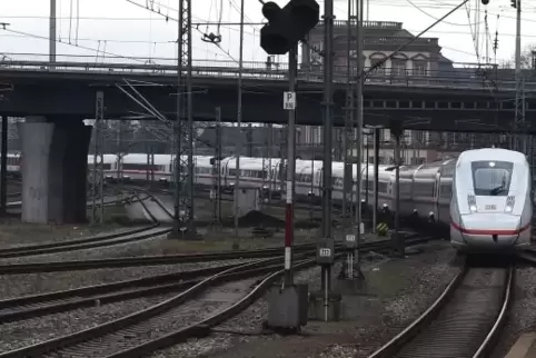 neuer_ice_4_mannheim_6644.JPG