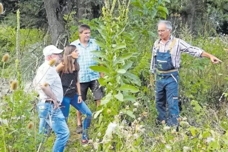 Aktivisten der Aktion Südpfalz Biotope bei ehemaligen Fischteichen zwischen Weingarten und Freisbach, von links: Dieter Zeiß, Me