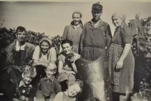 Wer hat Fotos vom Wein- und Gartenbau vor 50 Jahren? Foto: LWK RLP