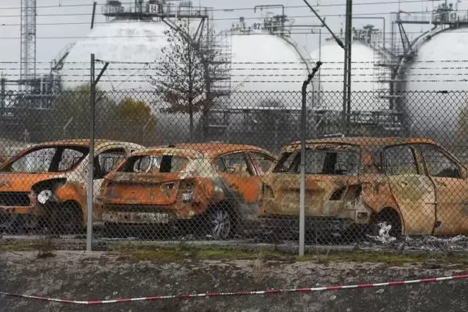 Ganz nah an der Unglücksstelle im BASF-Hafen: Die vom Feuerball verbrannten Autos standen auf dem Gelände des Kombiverkehrstermi