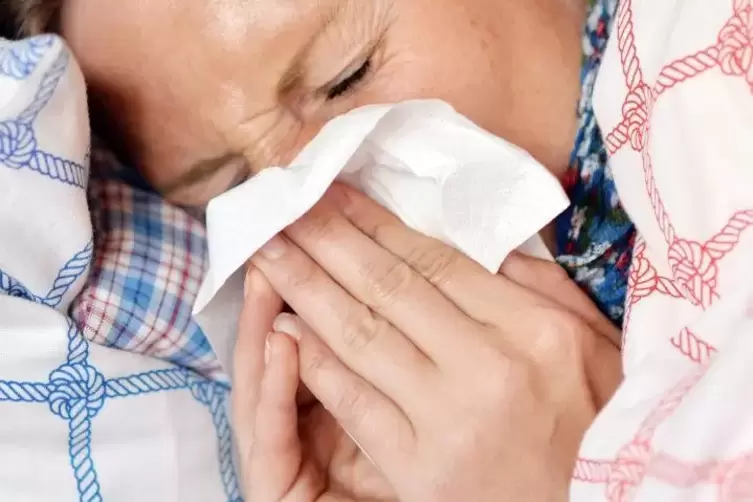 Häufig steckt hinter den Grippe-Erregern in diesem Jahr der sogenannte Schweinegrippen-Virus H1N1. Foto: DPA 