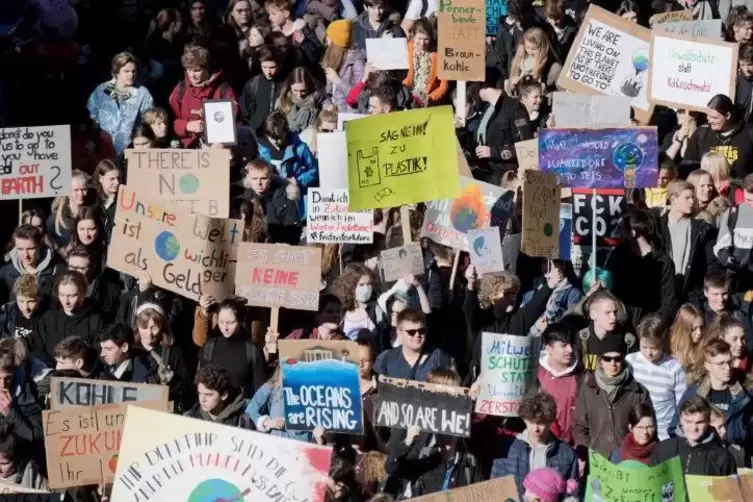 Bei einer Demo in Hannover demonstrierten Schüler am Freitag für die Klimapolitik. Symbolfoto: dpa