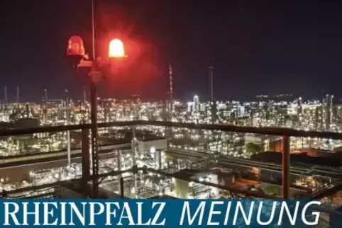 basflu_meinung.jpg