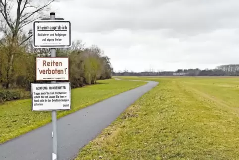 Wenn die Schneeschmelze in den Alpen beginnt, dann könnte es bereits im nahenden Frühjahr an den Deichen wieder spannend werden.