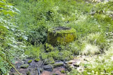 Heute mit Eisengitter abgedeckt: der Lorenzenbrunnen im Göllheimer Wald.