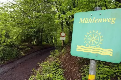 Der Radweg von Thaleischweiler nach Wallhalben wird für über eine Million Euro ausgebaut. Archivfoto: Moschel