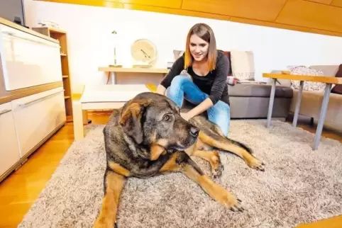 Hundeosteopathin Anika Steidel aus Otterbach weiß, wie sie mit Hunden umgehen muss. Denn nur entspannte Vierbeiner, wie hier Rot