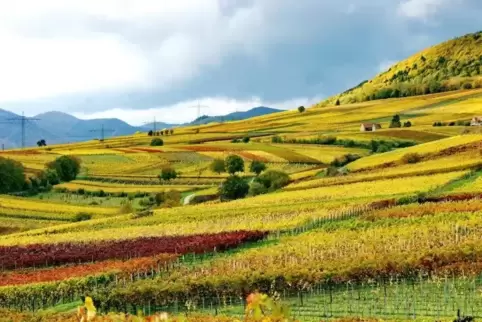 Rheinland-Pfalz ist bei Gästen aus dem In- und aus dem Ausland beliebt.  Foto:aja 