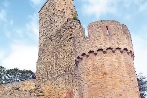 Die Wachtenburg über Wachenheim – auch ein Balkon der Pfalz.
