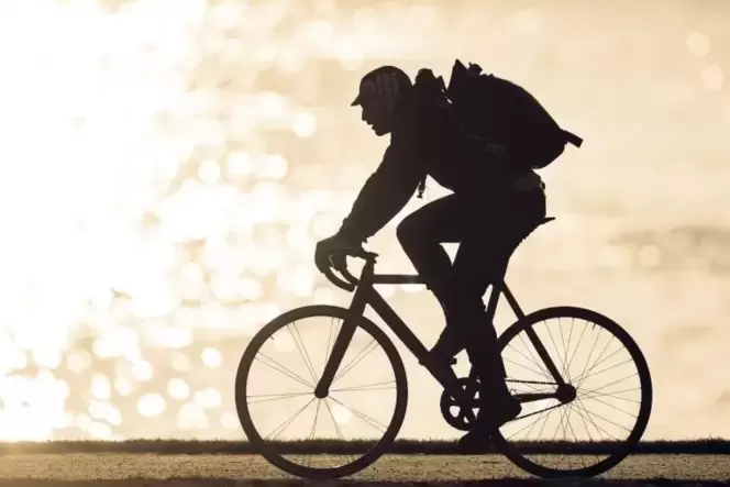 Ein Radfahrer fährt im Gegenlicht am Rhein entlang. Ein Radfahrer fährt im Gegenlicht am Rhein entlang.