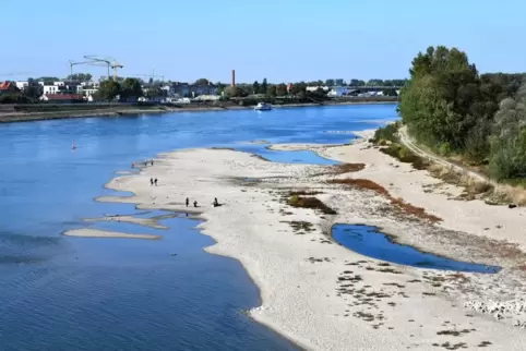 Niedrigwasser_Rhein_Speyer_2018_10_LENZ.jpg