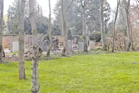 Auf dem Friedhof in Oggersheim gibt es künftig auch die Möglichkeit, sich naturnah begraben zu lassen.