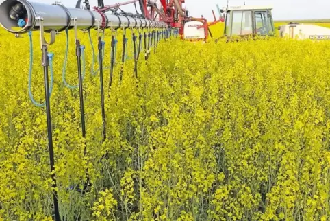 Dropleg-Technik: Gespritzt wird unterhalb der Rapsblüte.