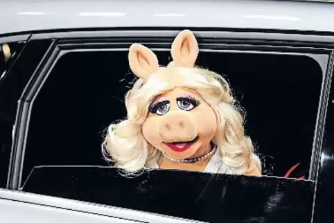 Selbst bei Miss Piggy am Steuer würde die Polizei kein Auge zudrücken.