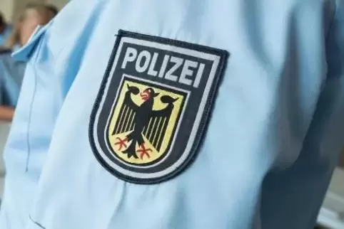 Weil sich der Vorfall auf einem Bahnhof abspielte, war die Bundespolizei im Einsatz. Symbolfoto: DPA