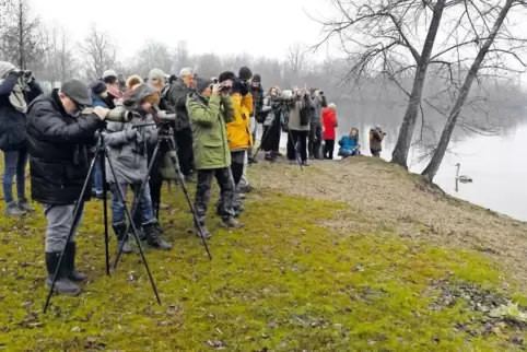 Technisch gut ausgestattet verfolgen die Teilnehmer der Winterexkursion, was am und auf dem Silbersee so alles fliegt, schwimmt 