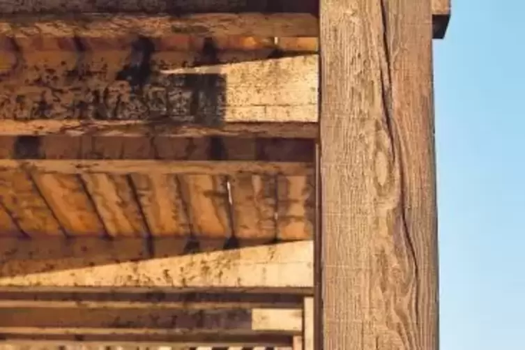 Fichtenholz wurde bei den Reisigbündeln im Inneren der Saline verbaut, Lärche wurde für die Konstruktion außen benutzt.