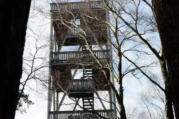 Der Eckkopfturm bei Deidesheim. ARCHIVFoto: LM