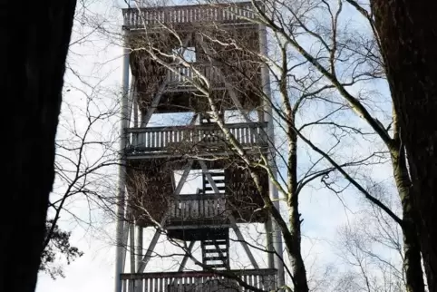 Der Eckkopfturm bei Deidesheim. ARCHIVFoto: LM