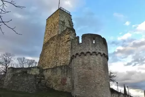 An der Wachtenburg ist die Spendenkasse des Fördervereins aufgebrochen worden.  Foto: ladwig