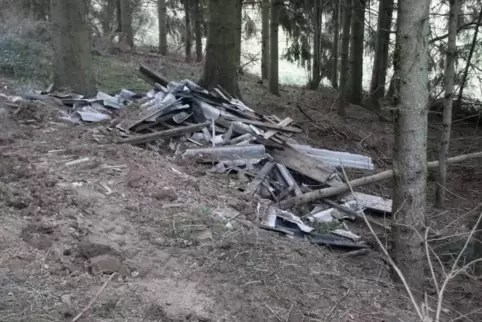 Ein bis zwei Kubikmeter Schutt hat ein Spaziergänger am Sonntag entdeckt. Foto: Polizei