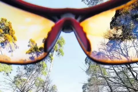 Hilfe bei dem sonnigen Wetter in der vergangenen Woche: Förster Jürgen Render war mit seiner Sonnenbrille im Wald unterwegs, um 