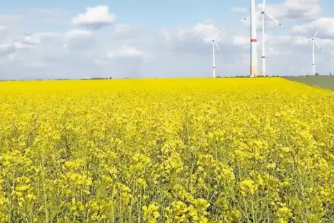Unter dem Feld bei Offenbach soll nach Öl gesucht werden.