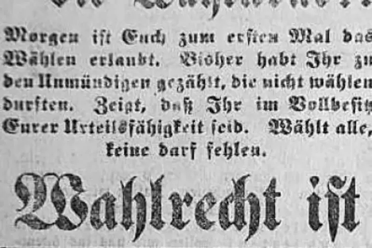 Anzeige in der Zweibrücker Zeitung vom 18. Januar 1919.