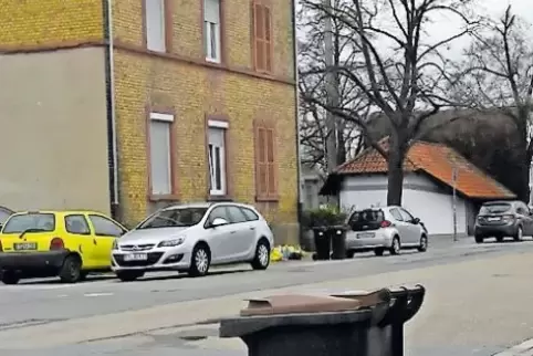 Die Tonne von Manfred Alban Pfeifer übersieht das Abfuhrunternehmen gerne.