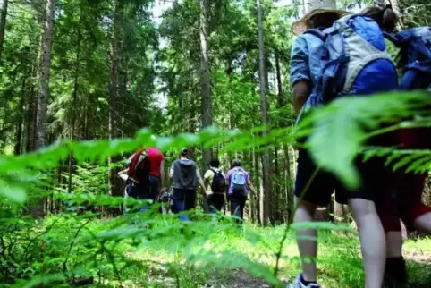 Wie wirkt sich Wandern auf Körper und Geist aus? Das wollen Wissenschaftler in einer Stude ermitteln.  Foto: dpa-tmn
